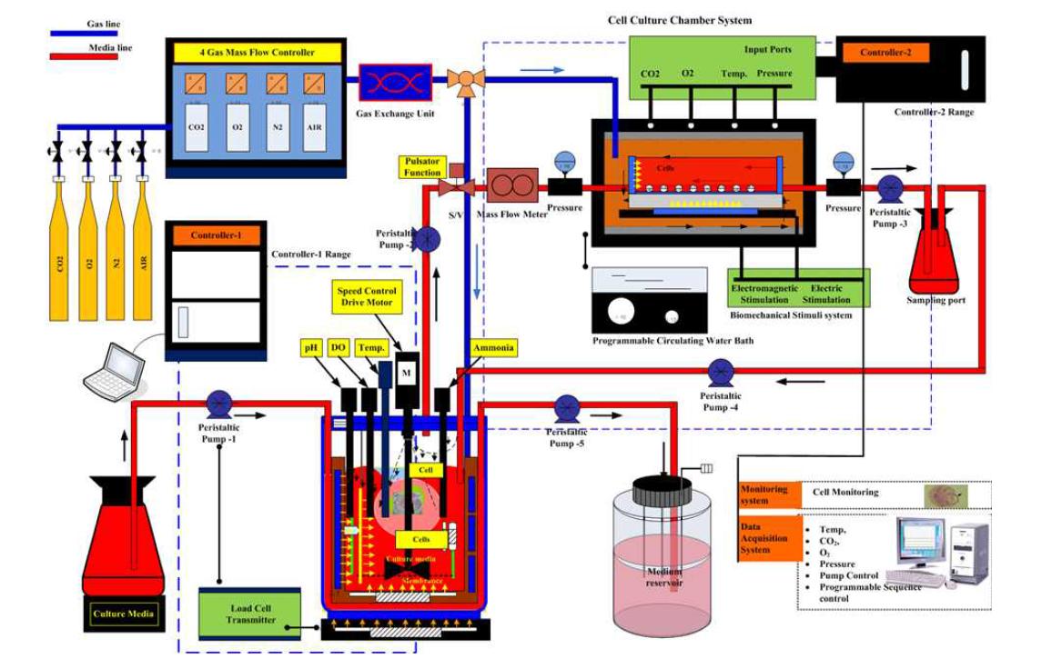 Schematic layout of perfusion flow culture system developed with a cell culture chamber system, gas mass flow controllers, precision peristaltic pumps, vessels for fresh and spent medium, and a monitoring system.