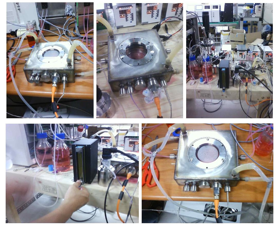 Validation of a perfusion flow culture system made at the BIOTRON Inc.