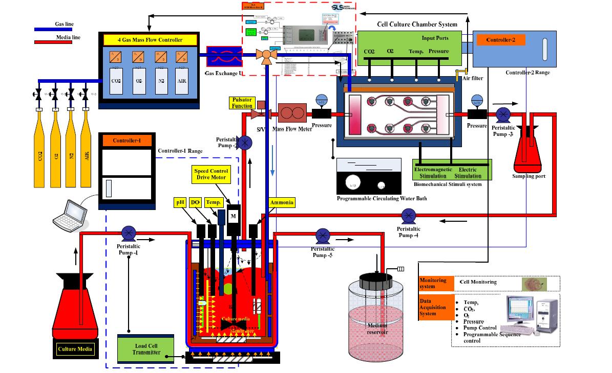 Schematic layout of 3D perfusion flow culture system developed with a cell culture chamber system, gas mass flow controllers, precision peristaltic pumps, vessels for fresh and spent medium, and monitoring system.