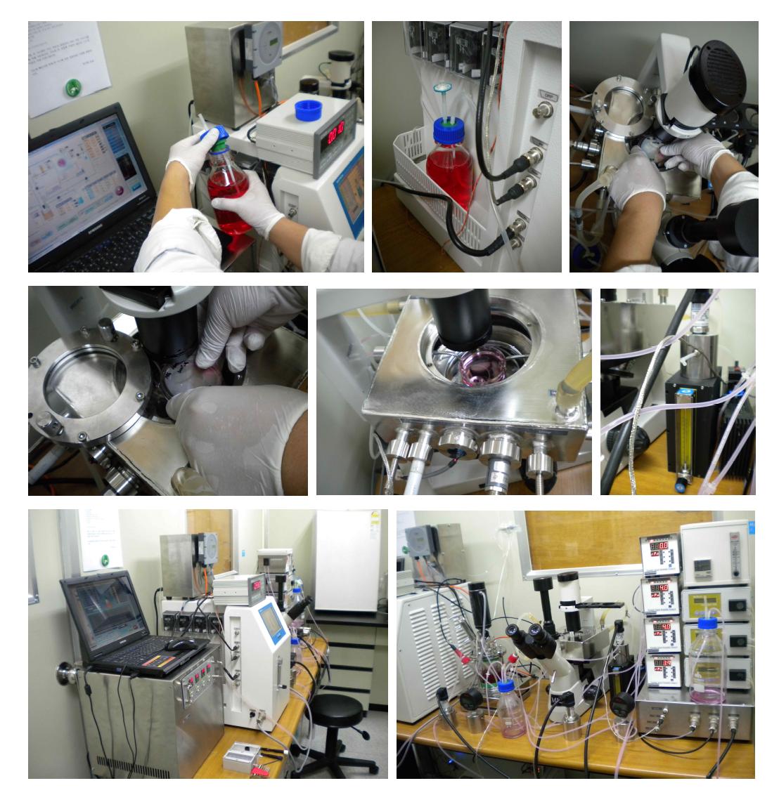Pictures of cell culture process via the developed perfusion culture system