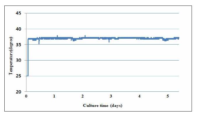 Temperature control during 5 day culture in the cell culture chamber system