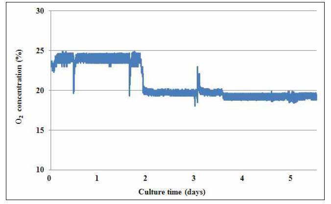 O2 control during 5 day culture in the cell culture chamber system