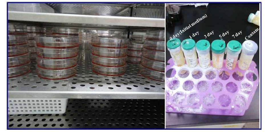Samples of cultured cells(A), refrigerated cell culture medium (B), and alpha MEMcomponents (C).