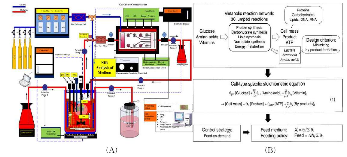 NIR Analysis of cell culture medium in the bioreactor system (A) and integrated approaches to the design of media and feeding strategies for fed-batch cultures of animal