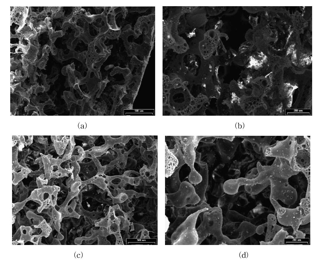 Scanning electron micrographs (SEM) of the pores in the cross-section surface morphology of the P(D,L)LA scaffolds