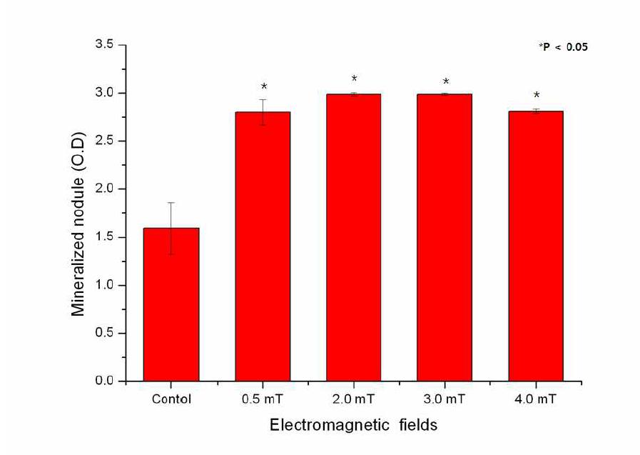 Statistical analysis of the effect of long-term pulsed electromagnetic field stimulation on alveolar bone marrow stem cell differentiation under the electromagnetic field stimulation at a stimulation time of 10 min/day for 25 days using alizarin red staining.