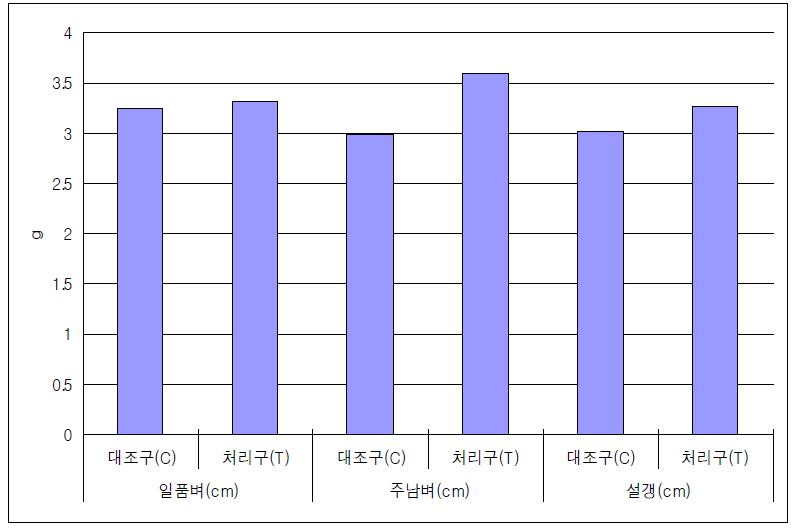 재배벼의 낱알의 평균 무게 (100개)