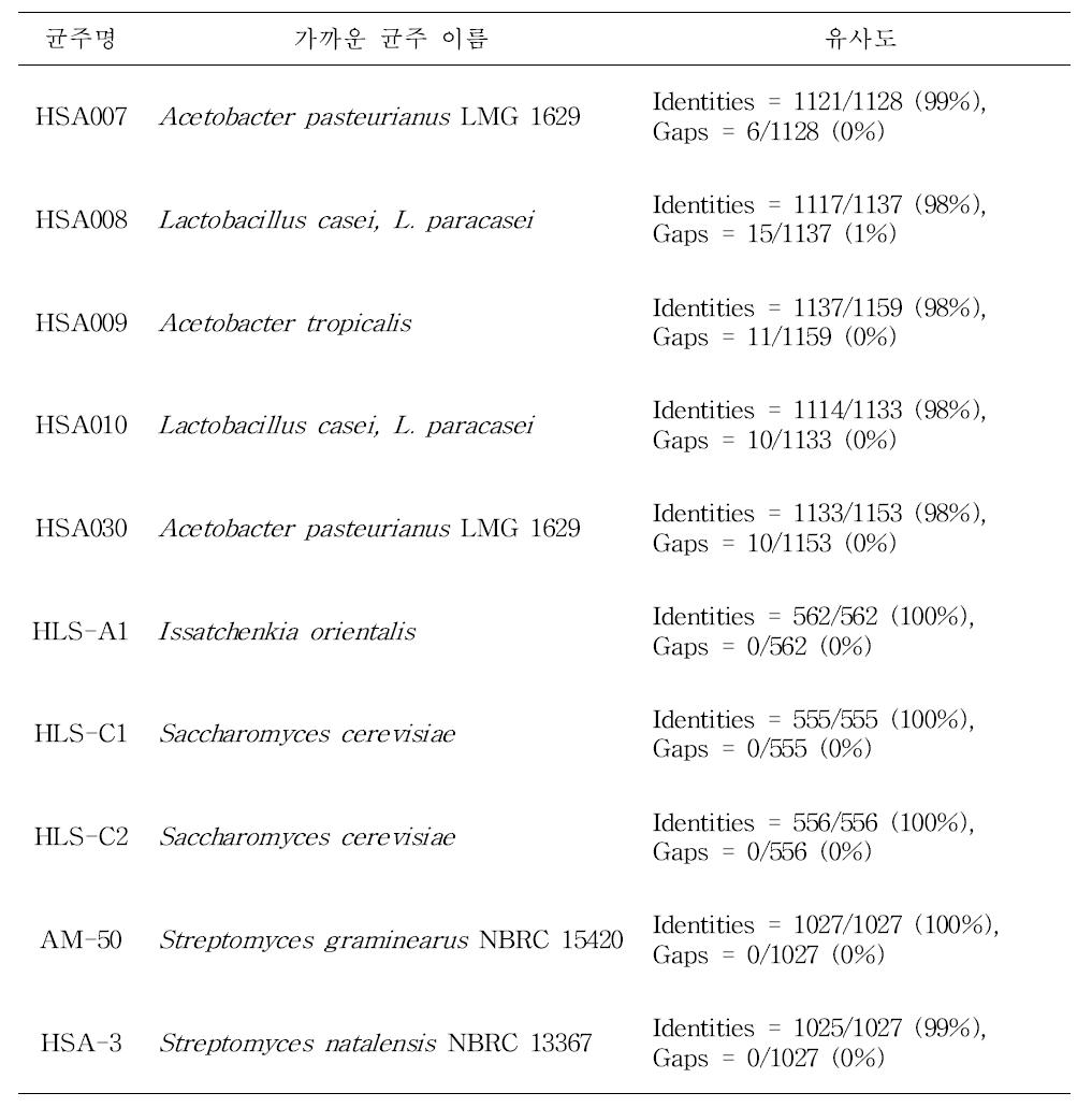 분리 균주의 16S rRNA동정 결과