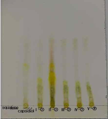 TLC를 이용한 capsidiol 측정.I-control; II-control; III-배양액처리; IV-Straptomyces sp.처리, V-Bacillus sp. AM-651처리