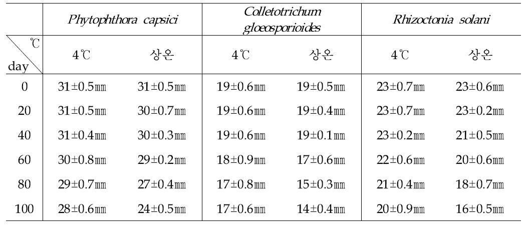 Bacillus sp. AM651 배양액의 저장기간에 따른 길항능