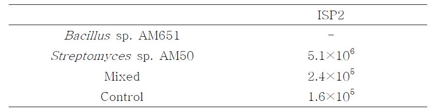Streptomyces sp. AM50 배양액의 처리에 따른 토양 내 균체수