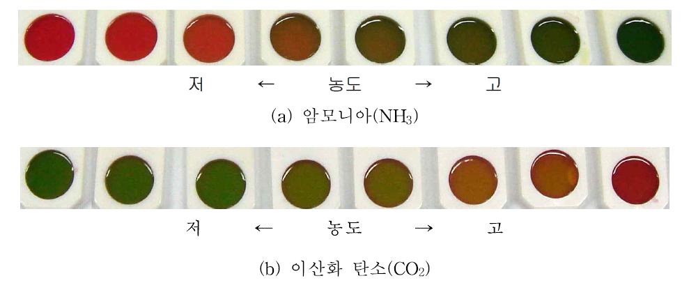 가스흡착용 패들의 농도에 따른 색상 변화