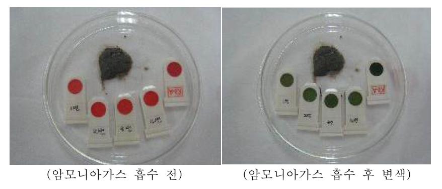 퇴비 발생 암모니아가스 측정 실험