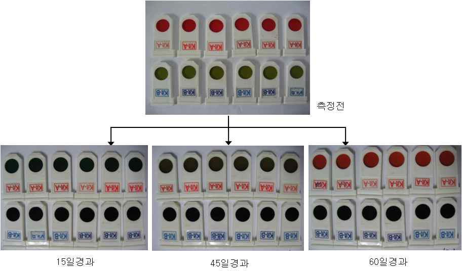 돈분퇴비 발생가스의 키트실험 결과 (1차 실험).