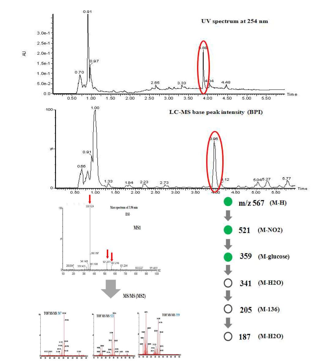 UV and UPLC-Q-TOF Mass spectrum of separated soluble red pepper extract