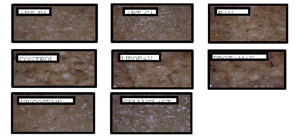 Effect of enzyme treatment on the red pepper seeds