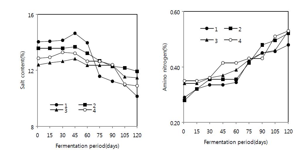 Changes in salt and amino nitrogen content of Gochujang during fermentation period at 10℃