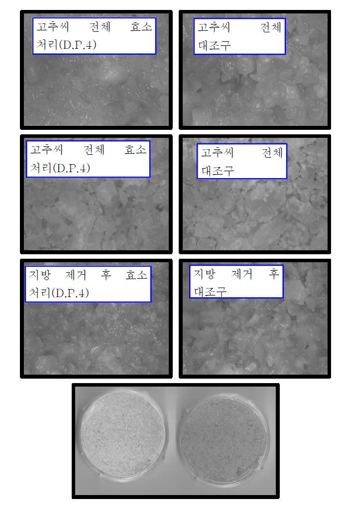 Effect of enzyme treatment on the red pepper seeds and soluble extract