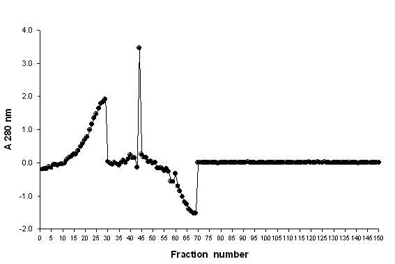 Gel chromatograpy 발효 분리물을 Sephedex G-75에서 분리한 분획물의 흡광도수치(280 nm)