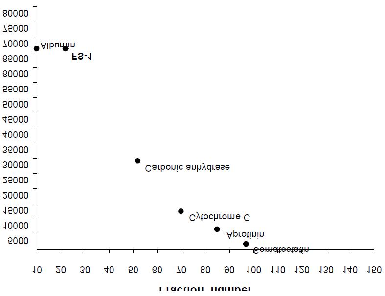 표준물질과 최종 산약발효 분리물의 molecular weight 비교