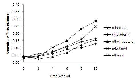 광선에 따른 발효 용매분획물의 갈변도 조사결과