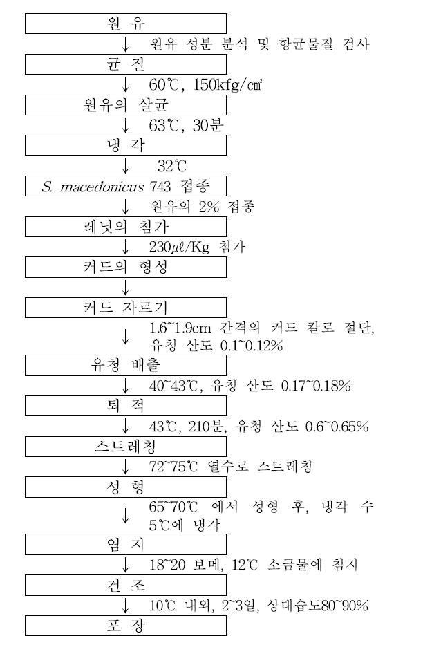 Streptococcus macedonicus 743 균주로 제조된 모짜렐라 치즈 제조공정