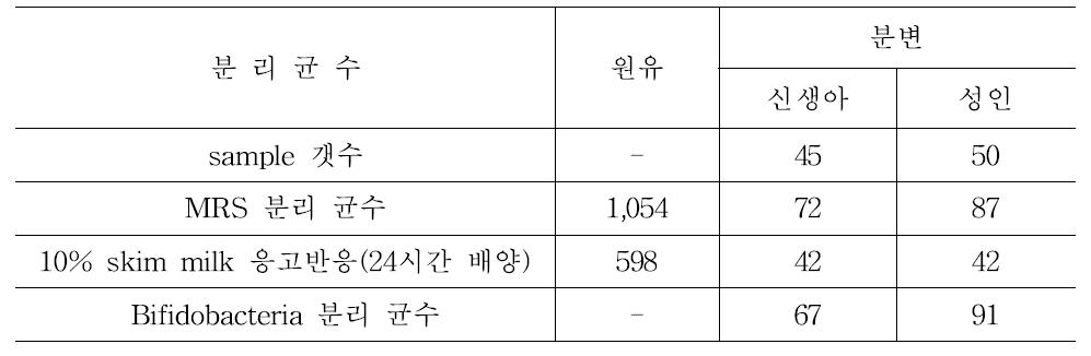 원유 및 분변에서 분리한 젖산균 및 bifidobacteria 균수