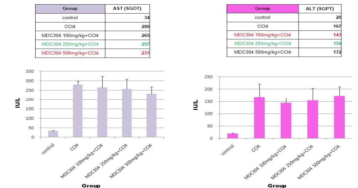 MDC304 항산화 효과에 대한 단회투여 동물실험: 간독성 수치 AST와 ALT 변화
