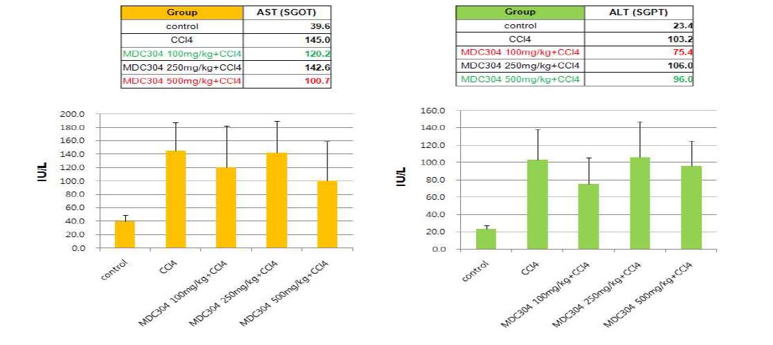 MDC304 항산화 효과에 대한 2주 반복투여 동물실험: 간독성 수치 AST와 ALT 변화
