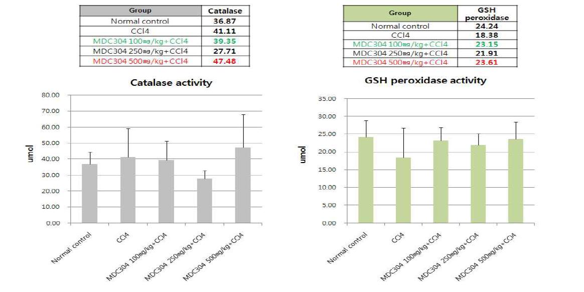 MDC304 항산화 효과에 대한 2주 반복투여 동물실험