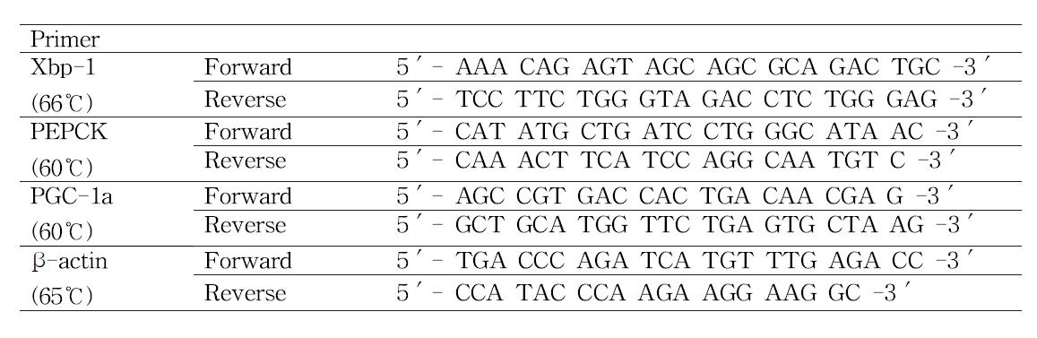 RT-PCR primer sequences