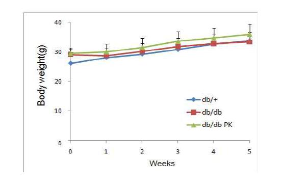 Body weight over time in db/db mice fed experimental diets.