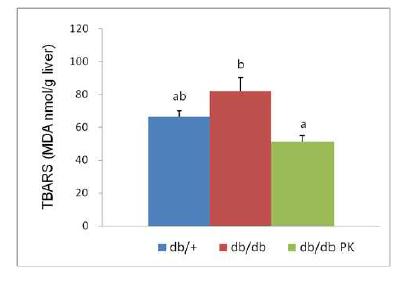 Hepatic TBARS contents in db/db mice fed experimental diets.