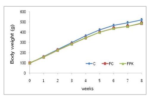 Body weight over time in rats fed experimental diets.