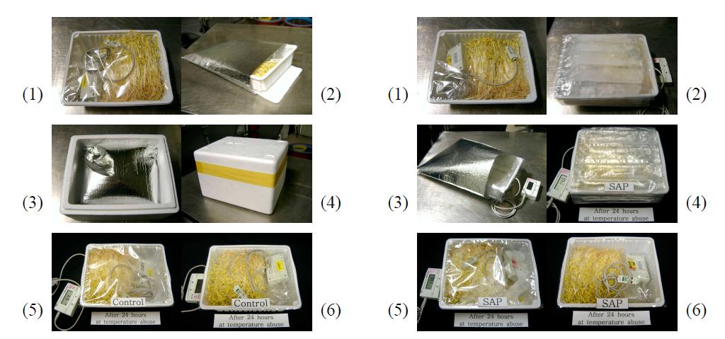 Packaging steps of buckwheat sprout treated with a typical block refrigerant (left) and flexible SAP (right) in EPS boxes for the feasibility test of consumer distribution, and appearance of buckwheat sprout after 24 h delivery.