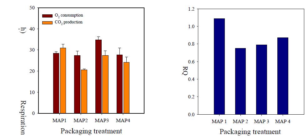 Respiration rate (left) and respiratory quotient (right) of buckwheat sprout as affected by various MA conditions at 5℃. MAP1