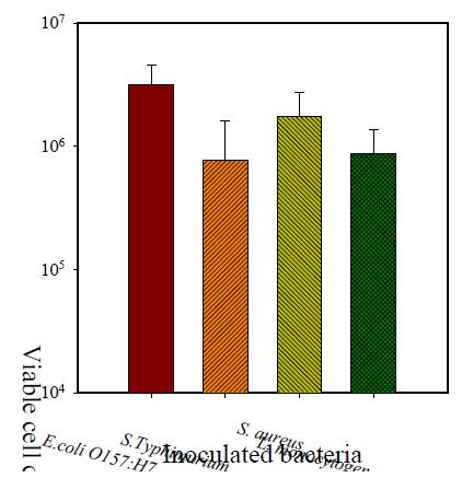 Initial viable cell cou ts of respective pathogen bacteria inoculated on buckwheat sprout prior to various MA packaging treatments.