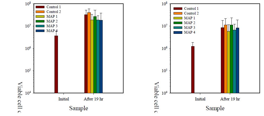 Changes in mesophilic aerobes (left) and coliform bacteria (right) of buckwheat sprout treated with various MA packaging conditions and refrigerants before and after storage at ambient temperature for 19 h