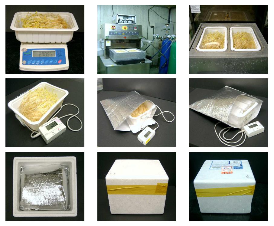 Packaging steps of buckwheat sprout treated with the selected MA conditions and flexible SAP refrigerant in EPS boxes for the feasibility test of consumer distribution.