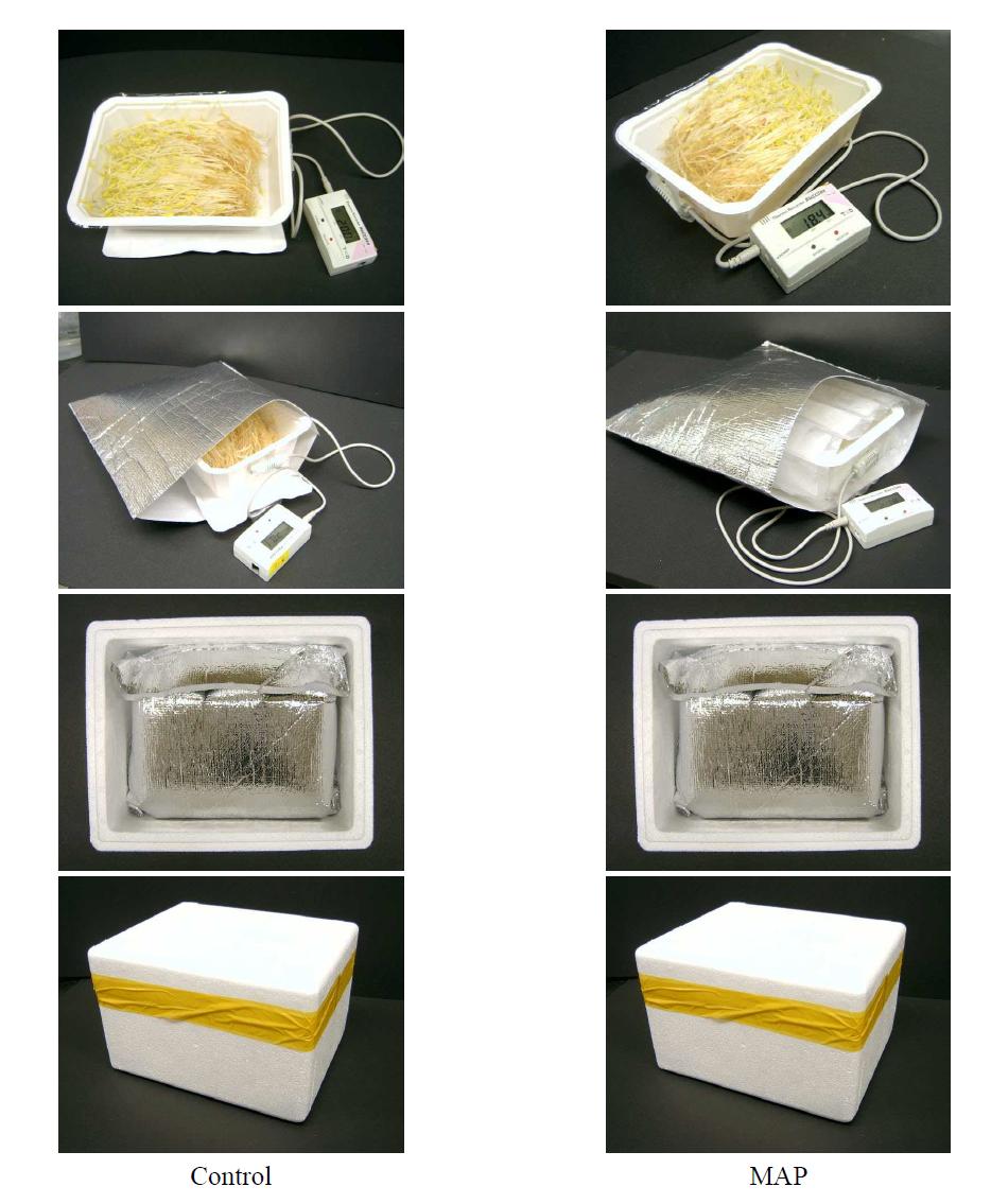 Packing flowchart of buckwheat sprout treated with the selected MA packaging