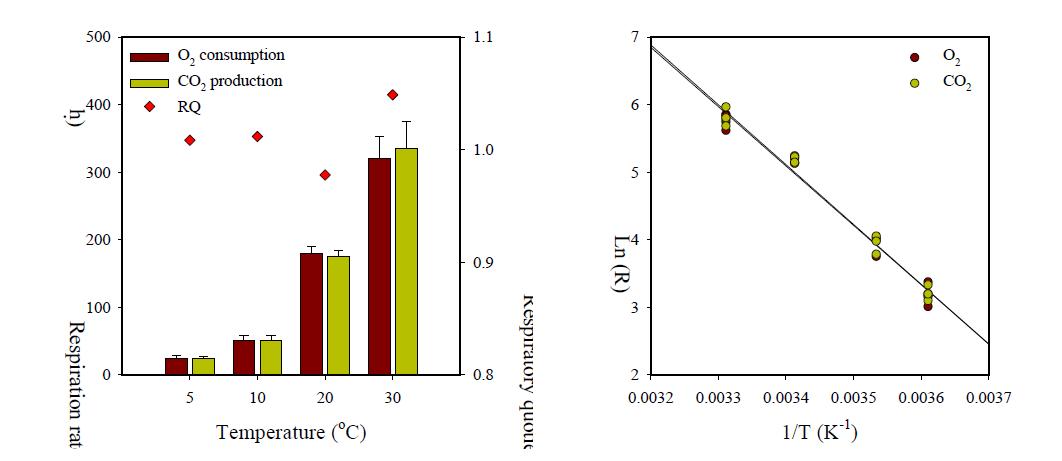 Respiration characteristics of buckwheat sprout as a function of temperature.