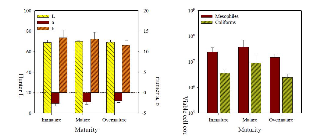 Color parameters (left) and microbial population (right) of buckwheat sprout as affected by maturity.