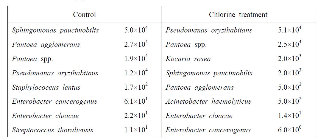 Microbial population of buckwheat seed treated with and without chlorine solution