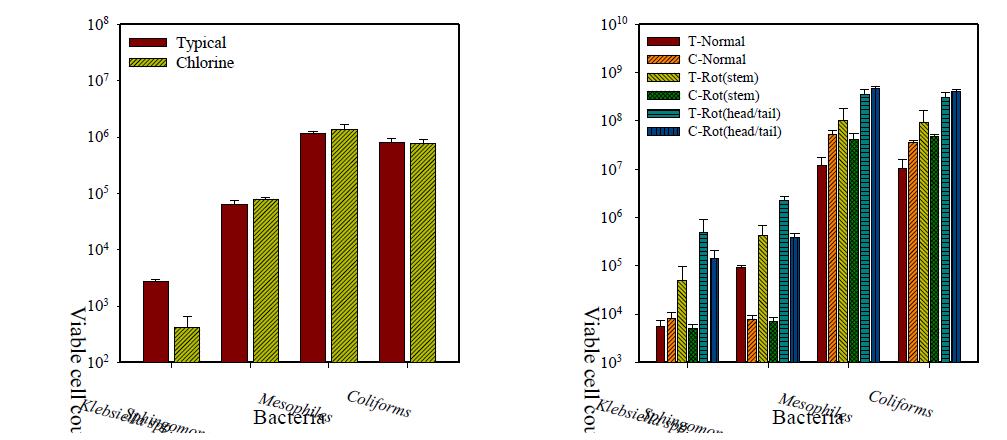 Microbial population of buckwheat seed (left) and sprout (right) as affected by