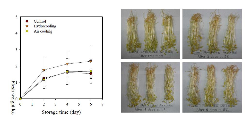 Changes in flesh weight loss (left) and appearance (right) of buckwheat sprout treated with different precooling methods during storage at 5℃ for 6 days.