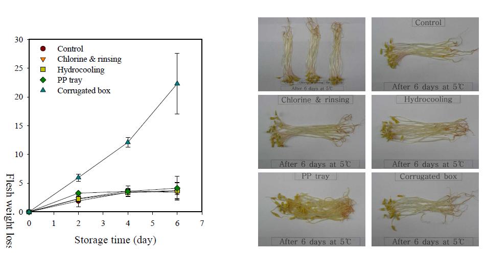 Changes in flesh weight loss (left) and appearance (right) of buckwheat sprout treated with postharvest processing steps during storage at 5℃ for 6 days.