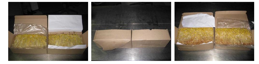 Appearance of corrugated boxes for bulk packaging of buckwheat sprout just after boxing (left) and after storage of 7 days at 5℃