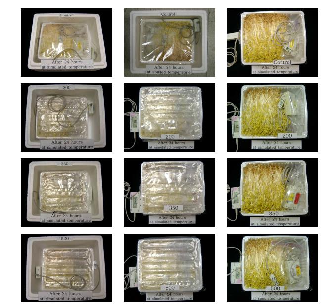 Appearance of buckwheat sprout packaging treated with varied amounts of SAP refrigerants in EPS boxes after 24 h storage at simulated temperatures