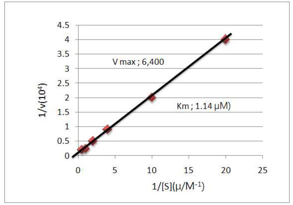 Lineweaver-Burk plot for glycosyltranferase at pH 7.0 and 30℃.