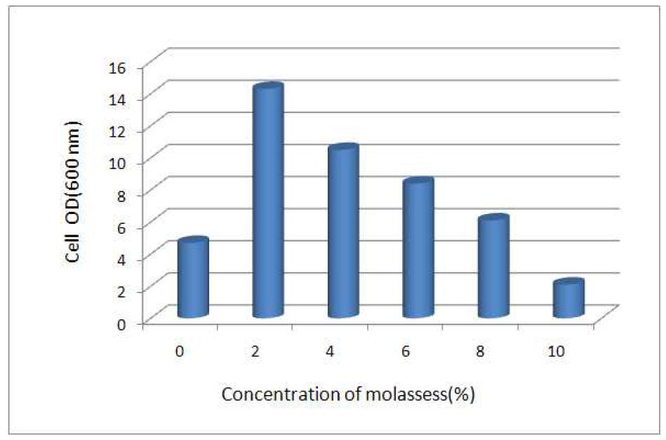 Comparison of cell growth on different concentration of molassess.